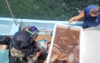 Marina asegura 250 kilos de pepino de mar en Yucatán