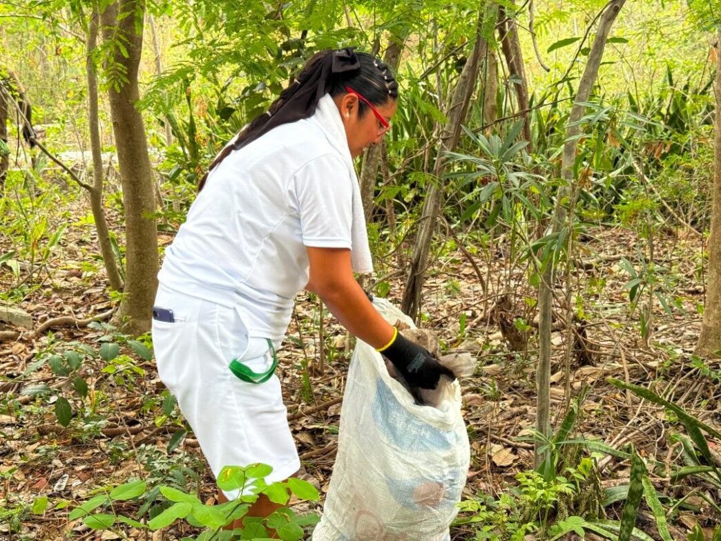 Casi media tonelada de residuos es retirada de playas y selva de Quintana Roo gracias al Programa SAK