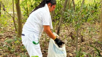Casi media tonelada de residuos es retirada de playas y selva de Quintana Roo gracias al Programa SAK