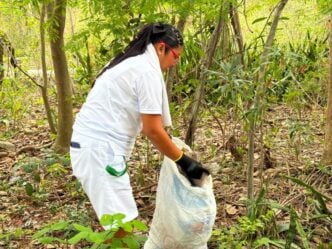 Casi media tonelada de residuos es retirada de playas y selva de Quintana Roo gracias al Programa SAK