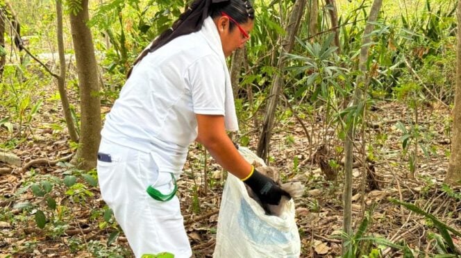 Casi media tonelada de residuos es retirada de playas y selva de Quintana Roo gracias al Programa SAK