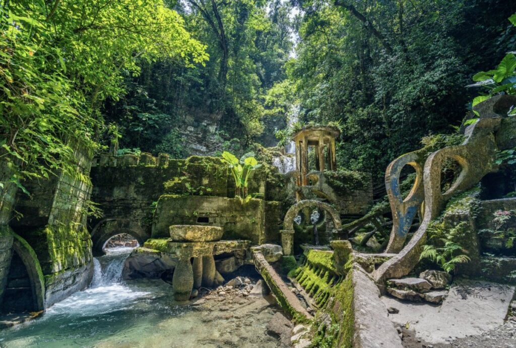 Día Mundial del Medio Ambiente: la naturaleza como aliada frente al cambio climático