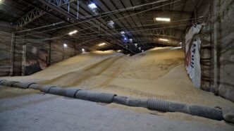 Amplía Gobierno de Sinaloa el plazo para el registro de los productores agrícolas