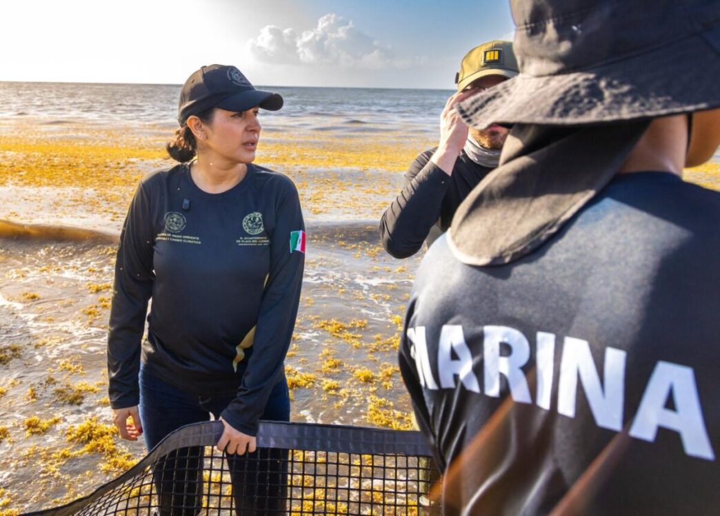 Más de 2 mil personas acompañan a Estefanía Mercado en mega brigada de limpieza de playas para hacer frente al sargazo