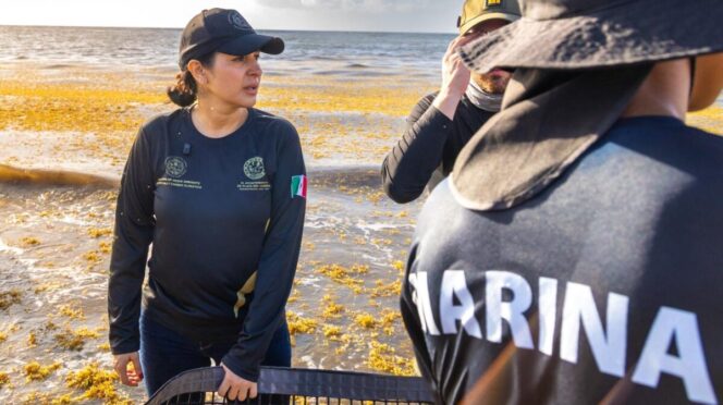 Más de 2 mil personas acompañan a Estefanía Mercado en mega brigada de limpieza de playas para hacer frente al sargazo