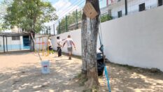 Puerto Vallarta renueva escuelas