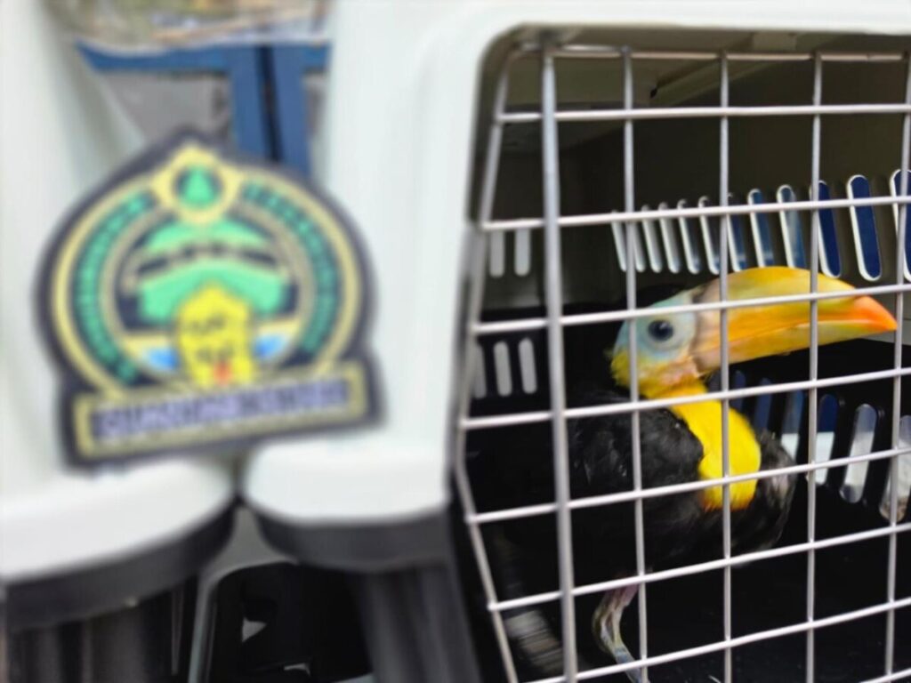 Resguardan fauna protegida en Guadalajara