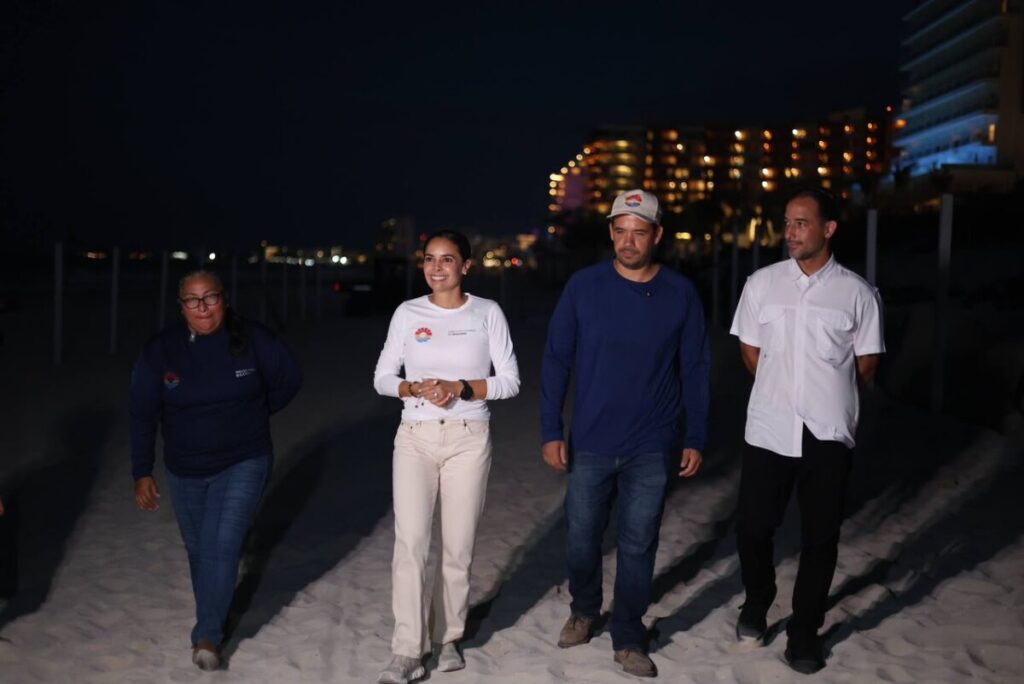 Cancún fortalece la protección de las tortugas marinas con más de 130 mil huevos resguardados