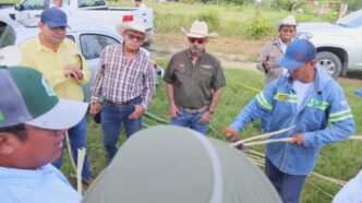 Fortalecen SEDARPE y CICY el campo quintanarroense con ciencia y soporte técnico directo en territorio