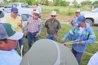 Fortalecen SEDARPE y CICY el campo quintanarroense con ciencia y soporte técnico directo en territorio