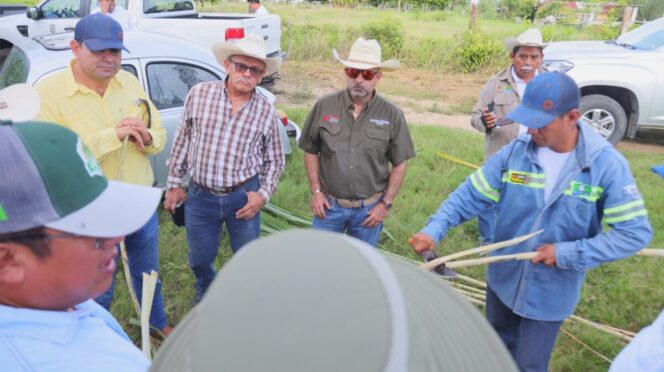 Fortalecen SEDARPE y CICY el campo quintanarroense con ciencia y soporte técnico directo en territorio