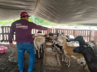 Gobierno de Estefanía Mercado fortalece la actividad pecuaria con atención veterinaria especializada en comunidades rurales