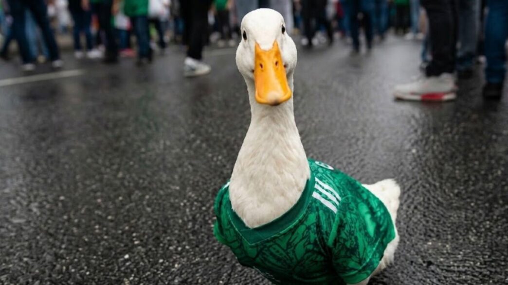 Merlín embajador del Mundial 2026: la FIFA nombra al famoso pato de CDMX como representante oficial