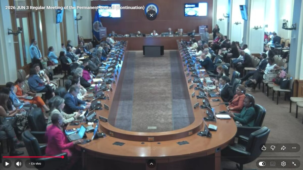 Consejera consultiva de Sinaloa lleva la voz de la niñez mexicana a la OEA