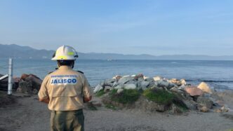Localizan sin vida a joven tras presunto ataque de cocodrilo en Puerto Vallarta