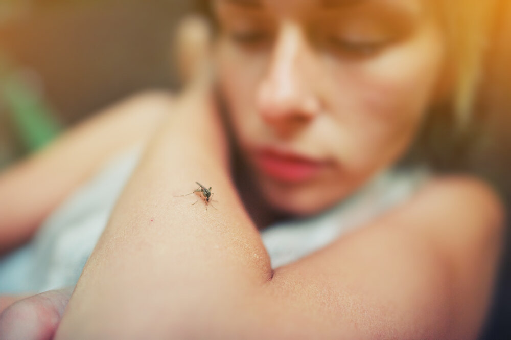 Dengue cae en México; Salud refuerza vacunación