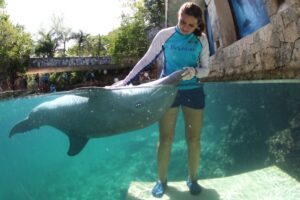 Celebra Delphinus una década acreditada como autoridad en bienestar animal