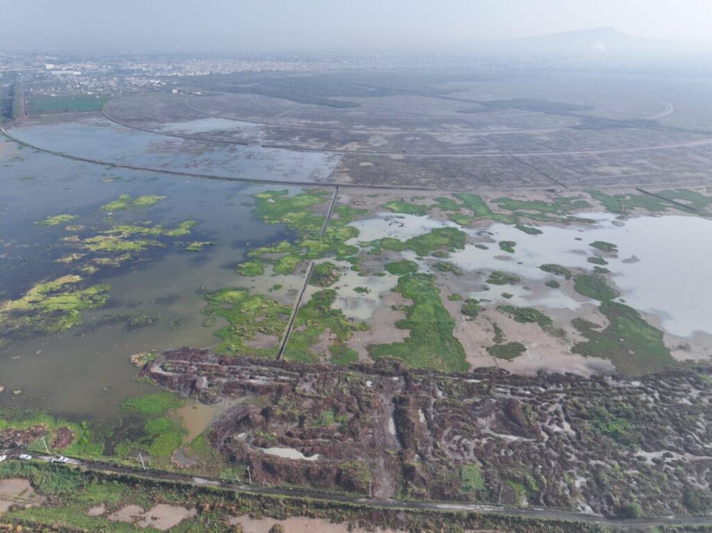 Ecatepec regenera 800 hectáreas del lago de Texcoco con el humedal El Caracol: Azucena Cisneros