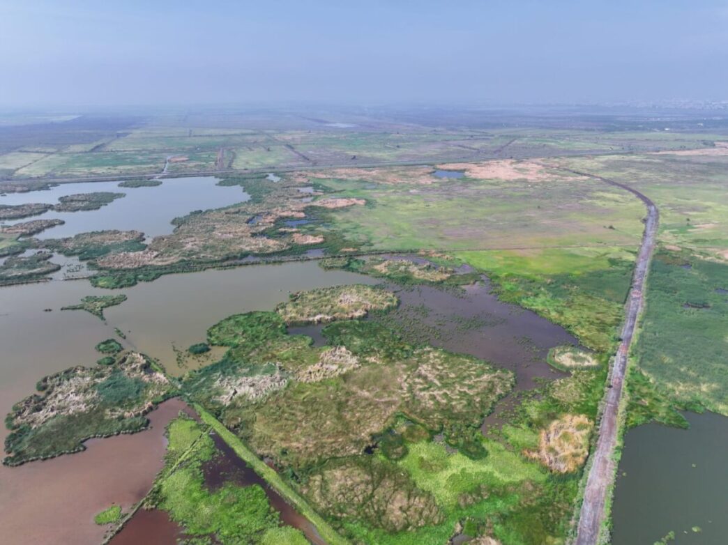 Azucena Cisneros impulsa el rescate del agua para Ecatepec y construye el parque ecológico más grande del Valle de México