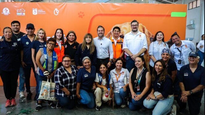 Esterilización gratuita beneficia a mascotas