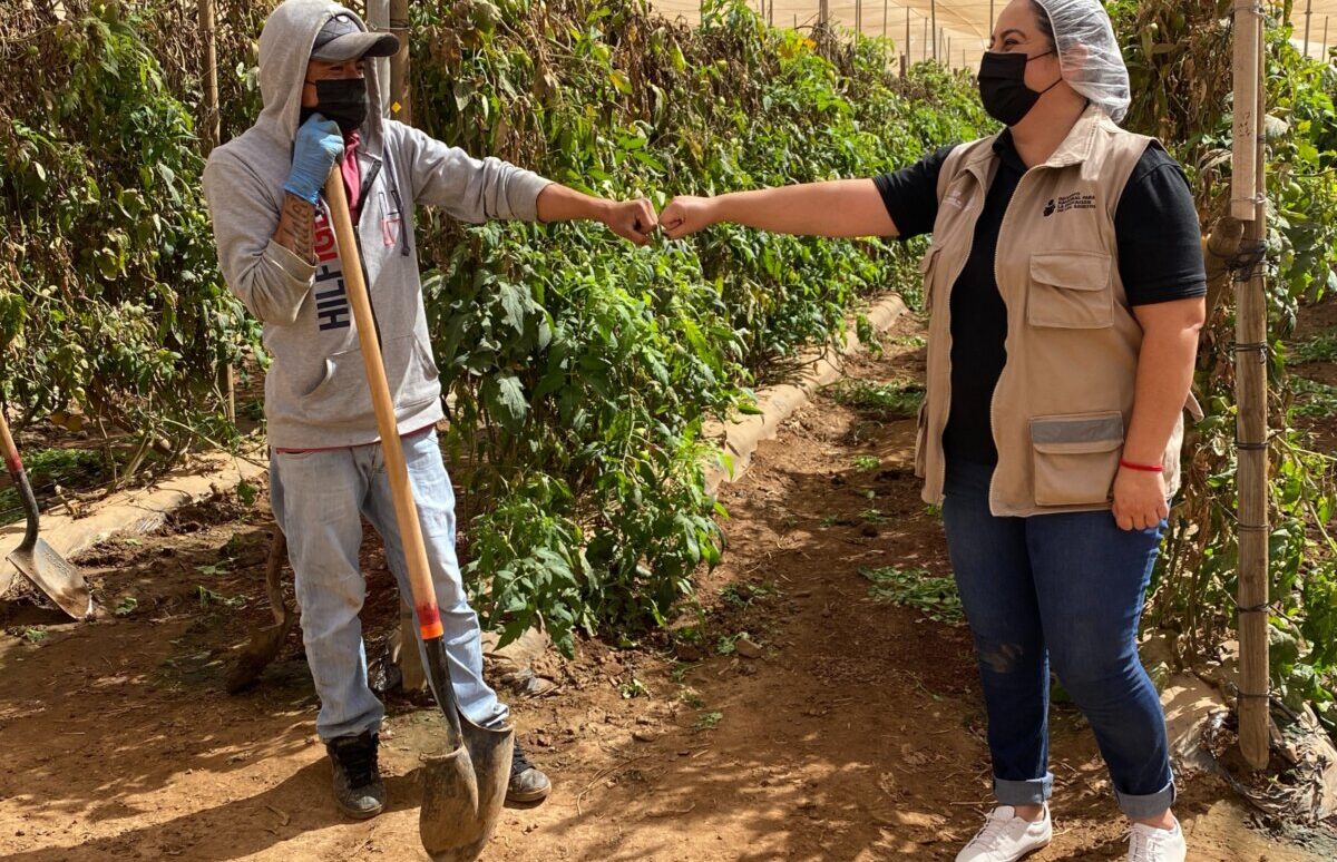 INEA lleva alfabetización y educación básica a jornaleros agrícolas migrantes en todo el país