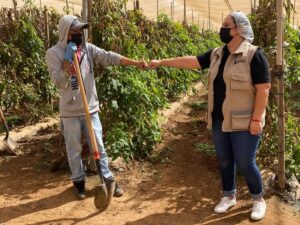INEA lleva alfabetización y educación básica a jornaleros agrícolas migrantes en todo el país