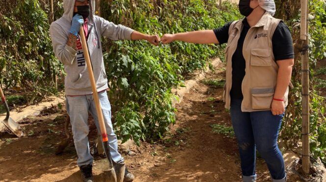 INEA lleva alfabetización y educación básica a jornaleros agrícolas migrantes en todo el país
