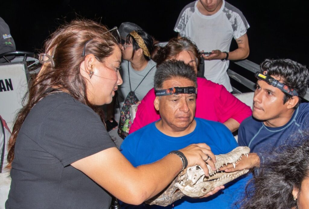 Familias descubren el fascinante mundo nocturno de los cocodrilos en Punta Sur
