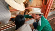 Blindaje Ganadero contra gusano barrenador