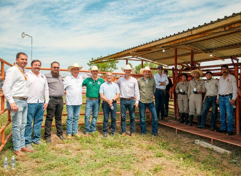 Blindaje Ganadero contra gusano barrenador