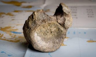 Descubren el primer fósil de dinosaurio hallado en la Antártida
