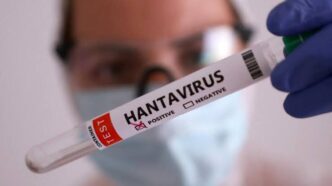 OMS prevé declarar el fin del brote de hantavirus vinculado al crucero MV Hondius