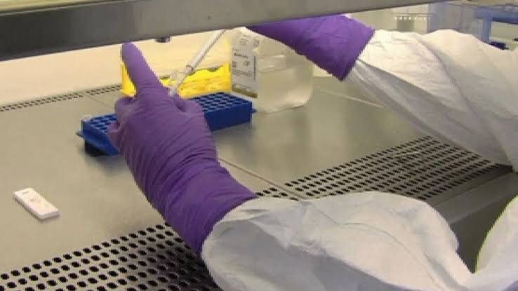 Epidemia de ébola en República Democrática del Congo podría prolongarse hasta un año, advierte la Cruz Roja