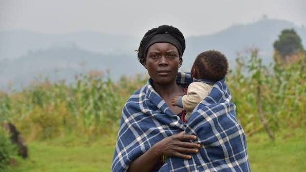 Brote de ébola en Congo: aumentan a 676 los casos, hay 136 muertos