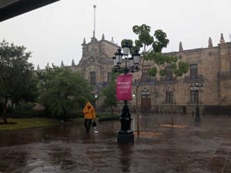 Tormenta deja 39 árboles caídos