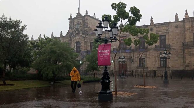 Tormenta deja 39 árboles caídos