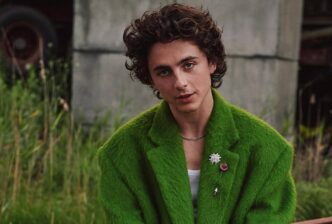 Timothée pone en pausa su carrera en Hollywood