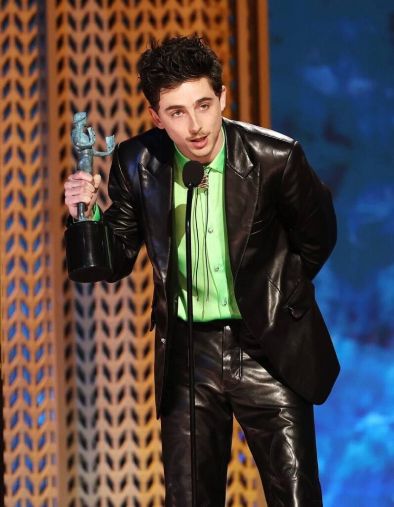 Timothée pone en pausa su carrera en Hollywood