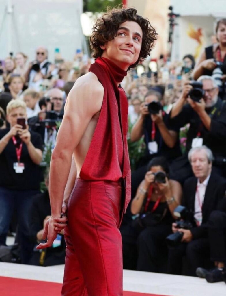 Timothée pone en pausa su carrera en Hollywood