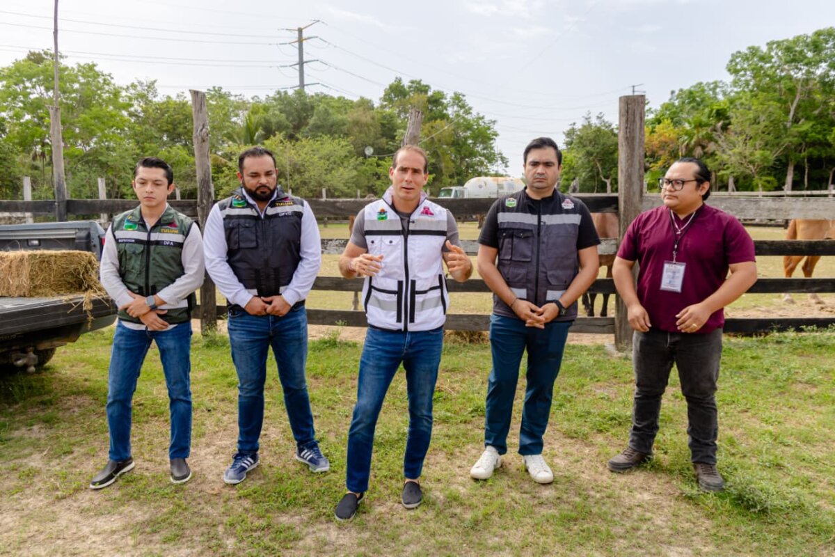 Protege gobierno municipal a nueve equinos en condiciones de riesgo