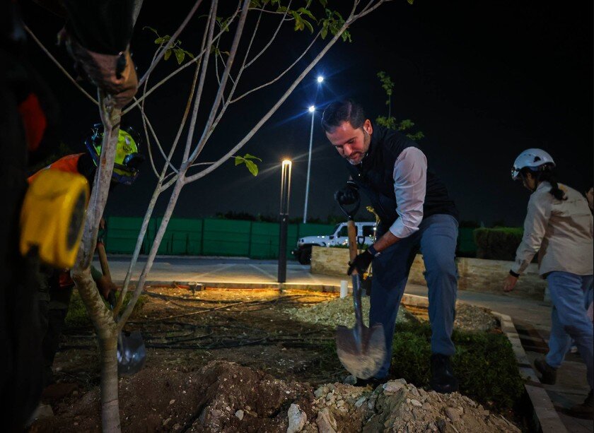 Día Mundial del Árbol impulsa un Nuevo León más verde