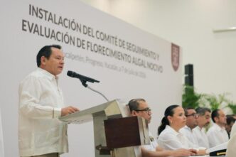 Yucatán refuerza vigilancia por marea roja