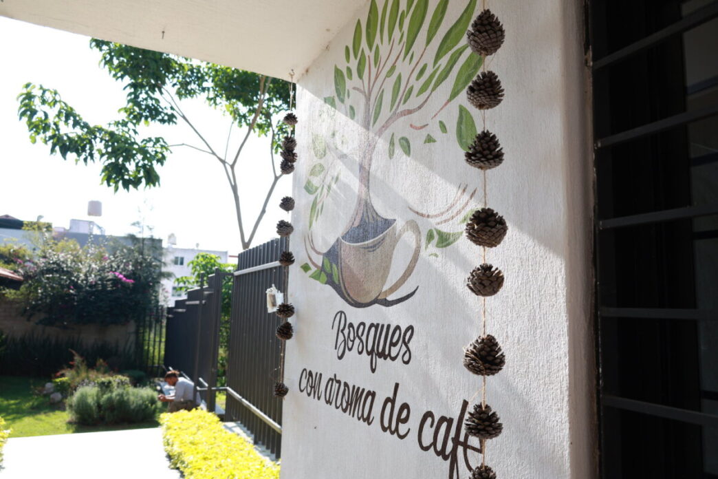 Colomos III tendrá recorrido sobre hongos silvestres