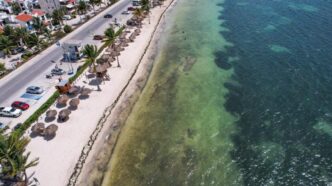 Acceso a estacionamiento en Playa del Niño seguirá siendo libre y gratuito