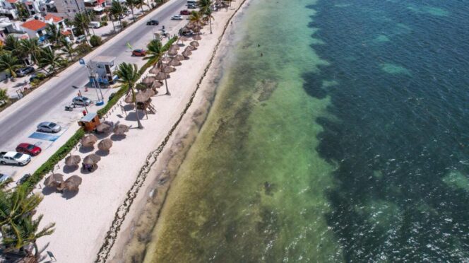Acceso a estacionamiento en Playa del Niño seguirá siendo libre y gratuito