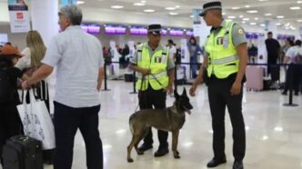 Decomisan 12 kilos de presutacocaína en el Aeropuerto de Cancún