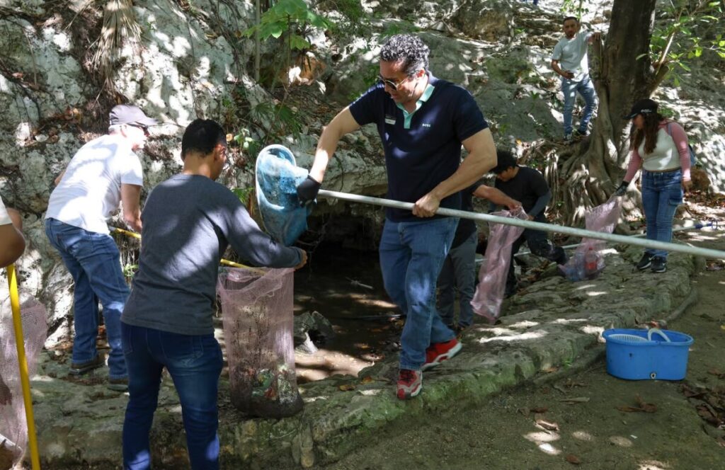 Busca Ayuntamiento de BJ Conciencia Ciudadana con Limpieza continua de cenotes