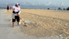 Gobierno de Isla Mujeres se prepara para izar por quinto año consecutivo la bandera Blue Flag en Playa Centro y Playa Norte