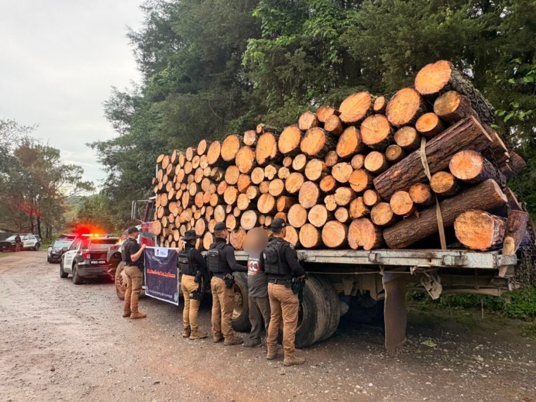 Aseguran madera sin documentos en carretera de Jalisco