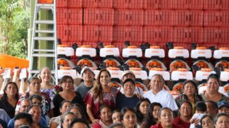 Fortalece Mara Lezama a artesanas y productores mayas con entrega de equipos e insumos en el sur de Quintana Roo